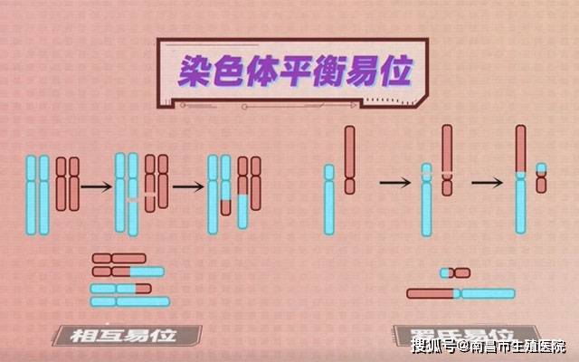 代孕背后的真相与反思，流产女孩的00后发声