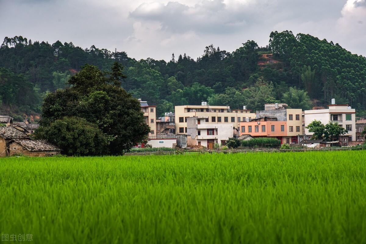 内蒙古四万亩耕地新增，挑战与机遇并存