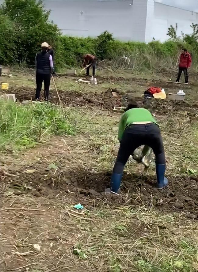 法国荒地变中国菜园，跨国农业的新里程碑