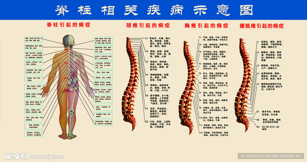 脊柱相关疾病图谱，探索、理解与防治策略