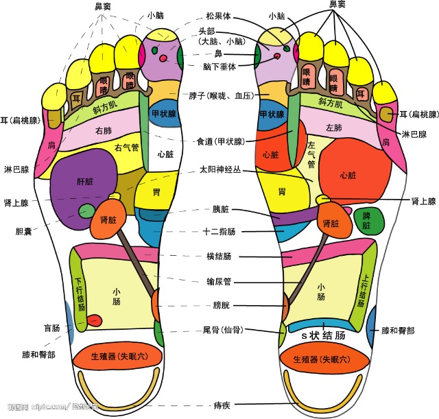 全身疼痛一招缓解，自然之道探索疼痛消除法