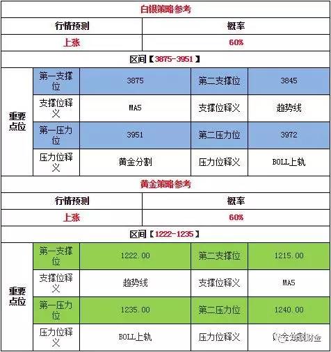 2024正版资料免费公开,实时解答解释定义_Hybrid10.155