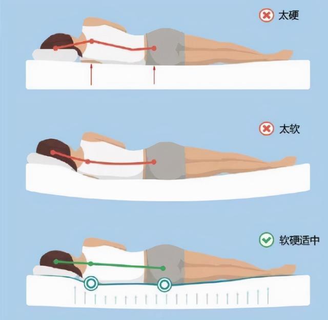 腰疼人群适合硬床睡眠吗？深度解析与探讨