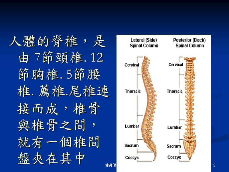 脊柱健康知识PPT全面解析