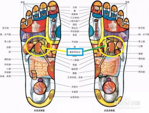 物理治疗的疾病，应用与未来前景展望