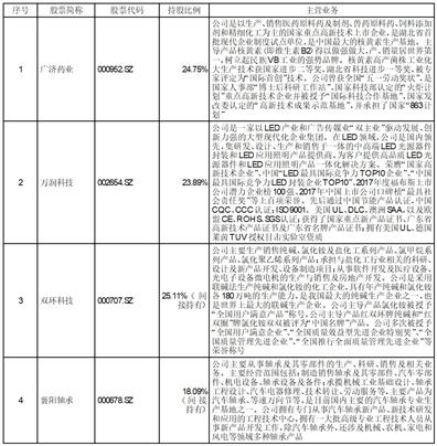 2024新澳特玛内部资料,专家解析说明_投资版17.637