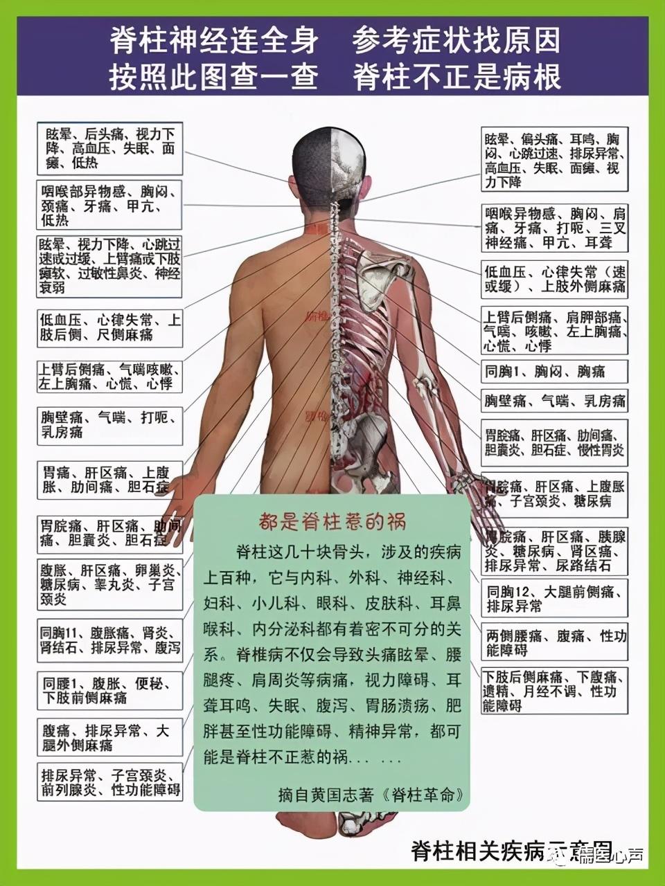 脊柱疾病对照表，全面解析与应对方法