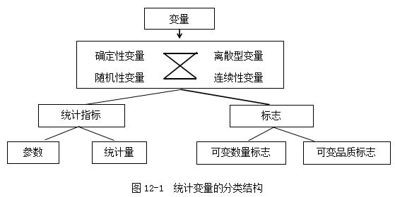 香港开彩开奖+结果记录,统计分析解释定义_suite30.114