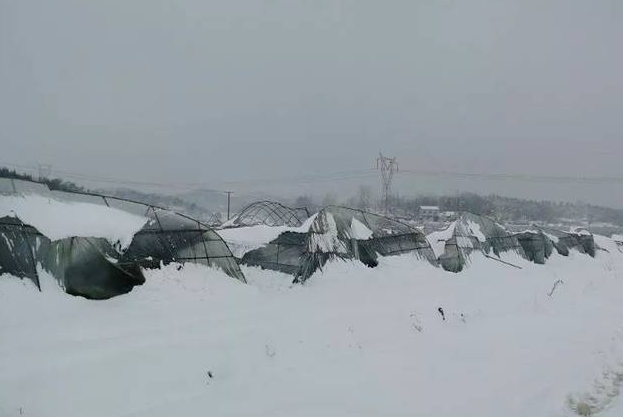 东北破纪录特大暴雪来袭，极端天气挑战自然极限