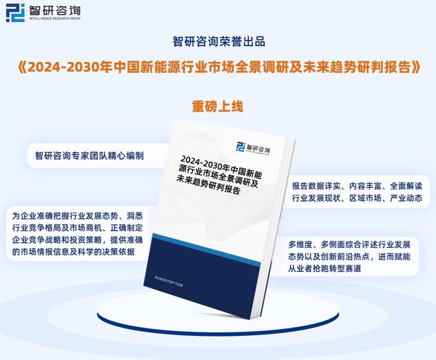 2024新奥精准正版资料,实地分析解释定义_网红版51.648