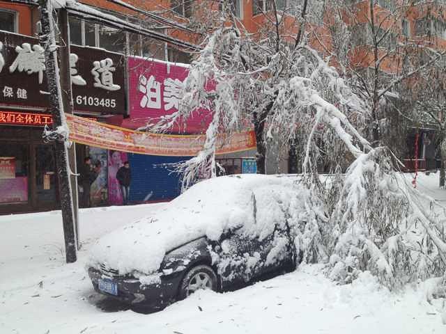 黑龙江鹤岗破纪录降雪，雪域奇观与应对挑战