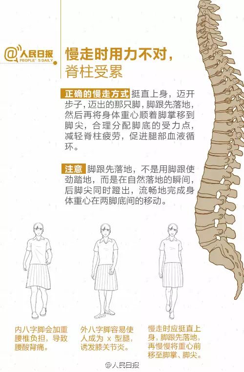 探索健康生活关键要素，如何保持脊柱直立之道