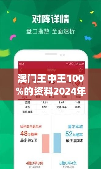 2024年王中王澳门免费大全,高效解析方法_FHD75.423