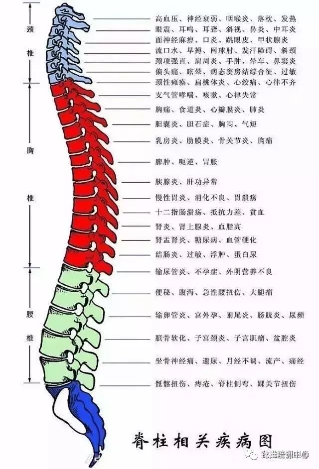 脊椎问题引发108种疾病深度探讨