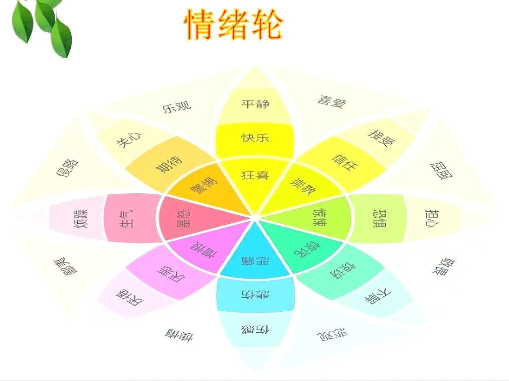 脊柱健康管理 第206页