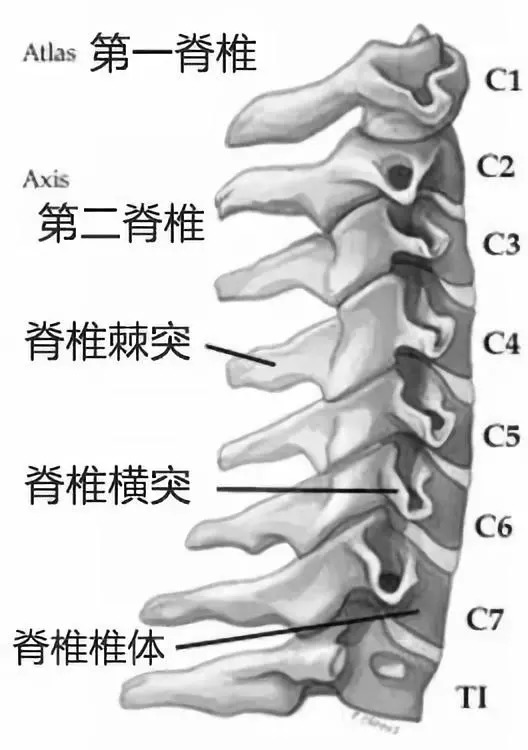 颈椎椎序不连，理解、诊断与治疗的全面解析