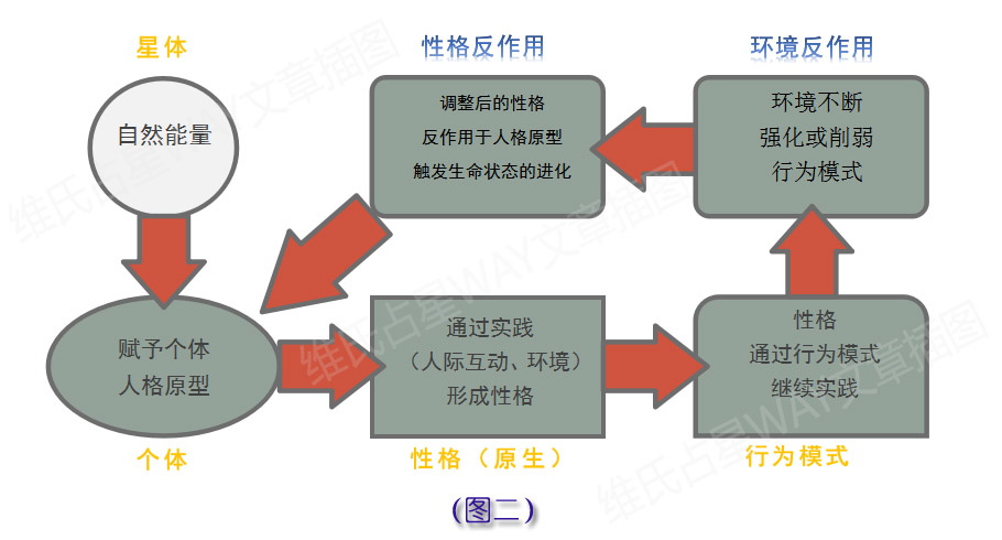 一码一肖100%精准,完善的执行机制解析_专属款51.506