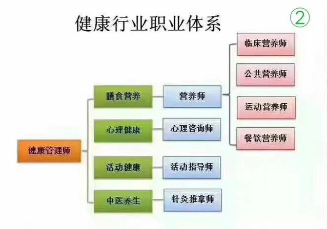 健康管理蓝图，构建健康生活方式的关键步骤指南