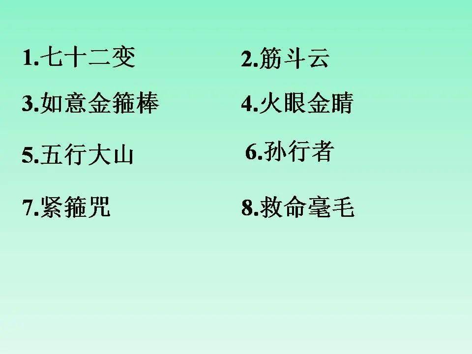 脊柱知识讲解视频全集下载，深入理解脊柱结构与功能解析