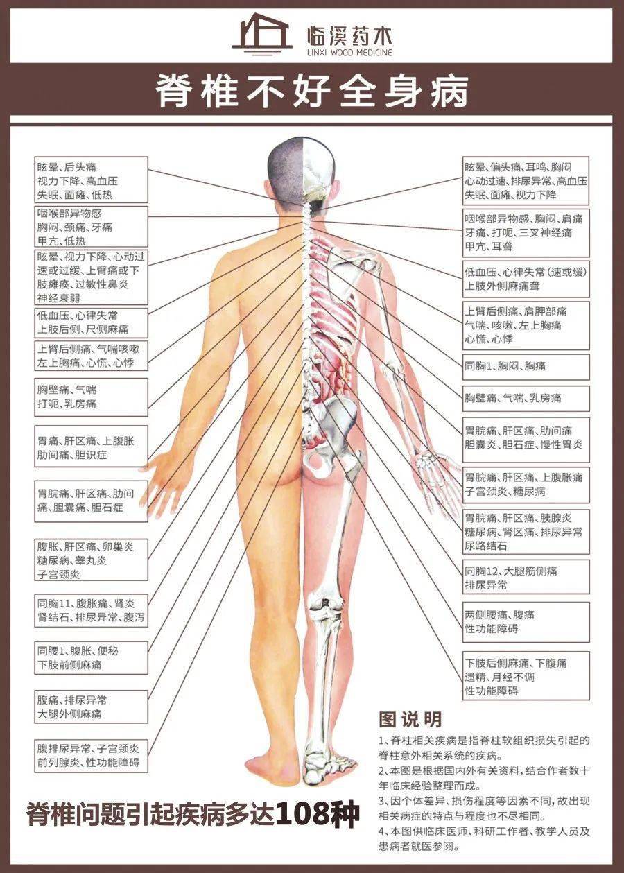 脊椎常见病症及其对生活质量的潜在影响