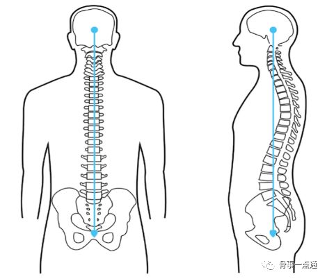 脊柱支撑不住身体的原因解析