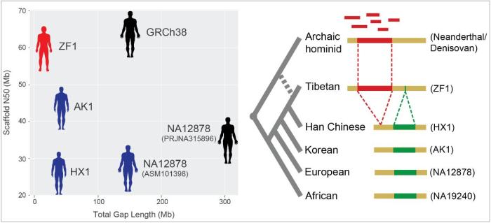 新澳门今晚精准一码三中三,最新研究解析说明_铂金版56.182