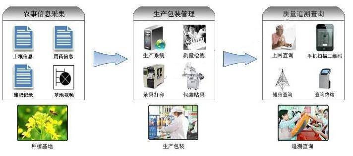 淡忆丶那段情 第5页