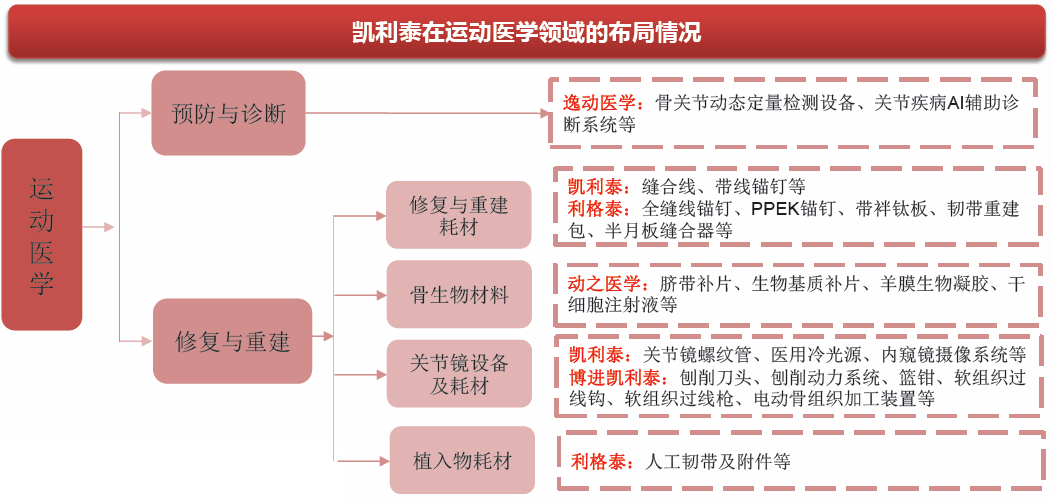 运动医学核心内容概述与标题梳理