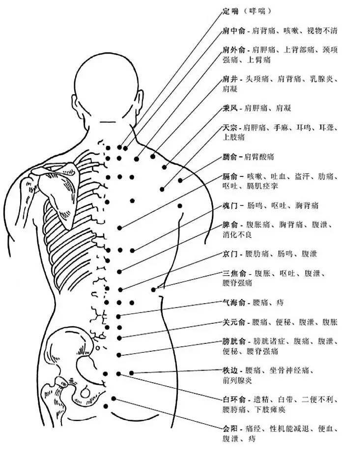 背部健康知识全解析，专业理解与沟通技巧