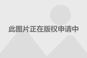 青少年脊柱健康研究报告，揭示最新数据与趋势分析