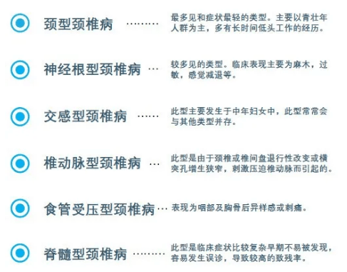 脊椎病种类与特点解析，深入了解脊椎健康的多样性