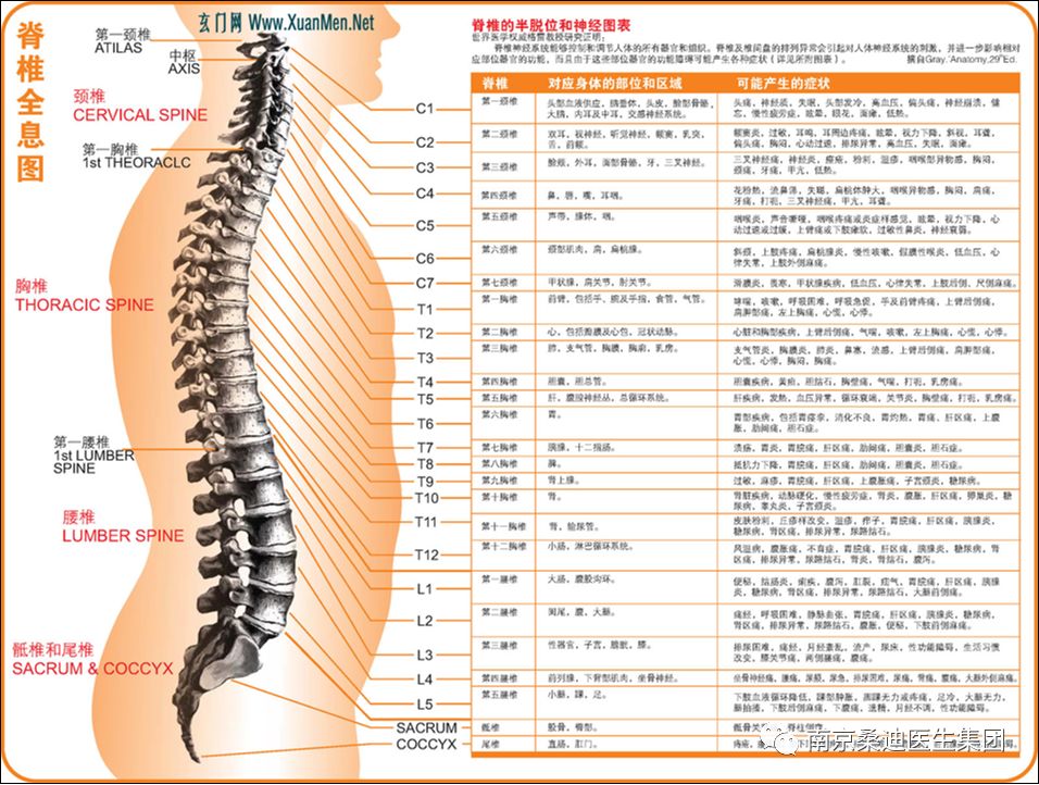 预防脊柱类亚健康的方法与策略