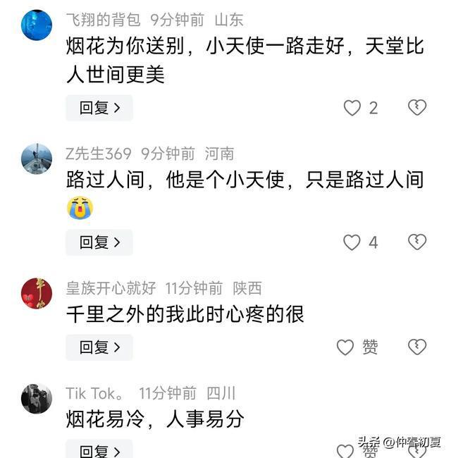 男童在父母怀中看烟花后离世，无法挽回的悲痛