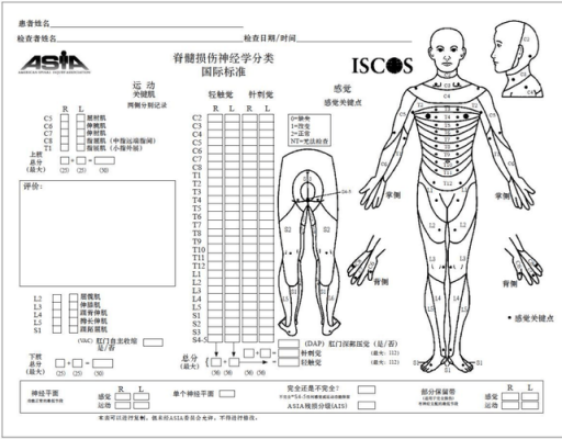 脊柱功能评估详解，方法与步骤指南