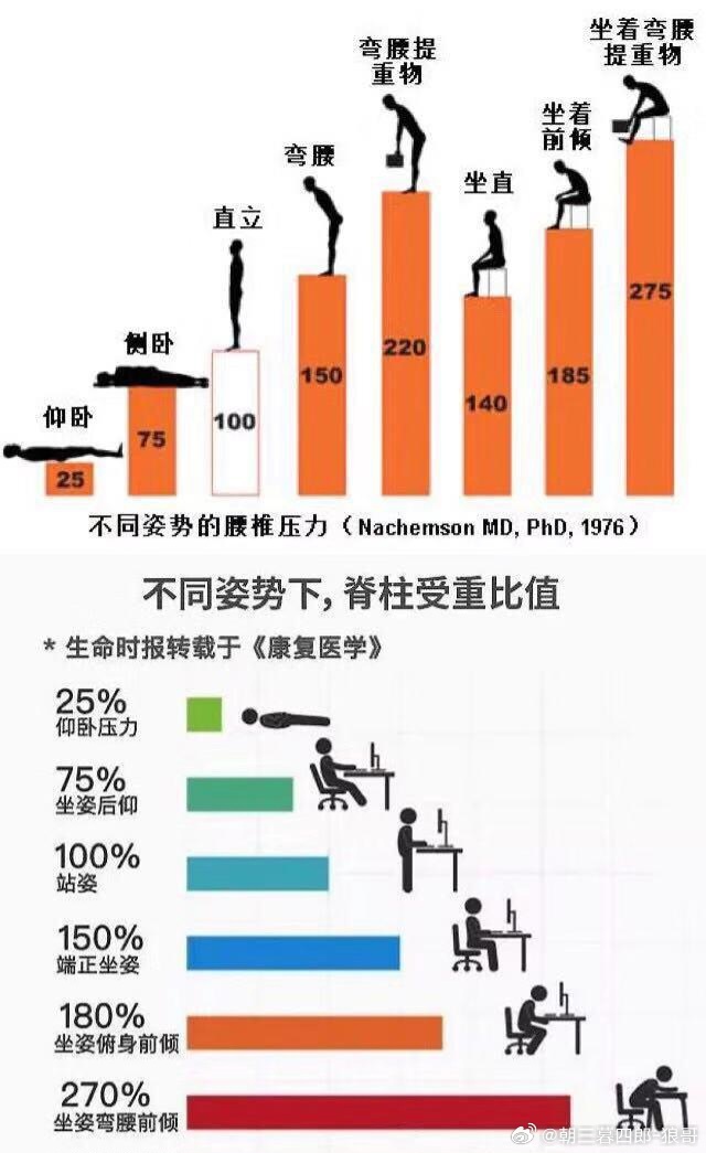 脊椎受力分析与健康保护的重要性