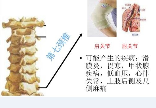 admin 第89页