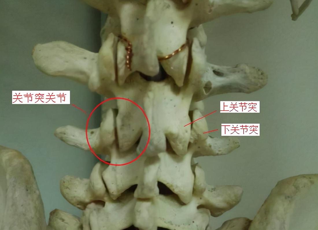 admin 第88页