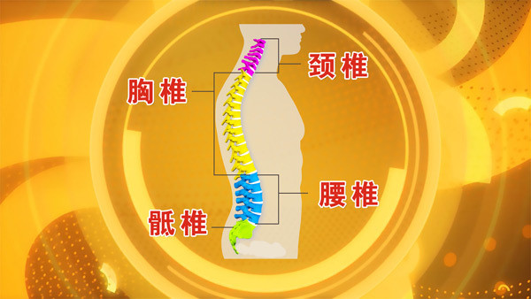 鸟巢背景下脊柱保健操视频，健康生活指南