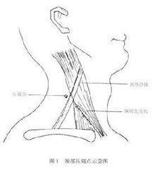 admin 第83页