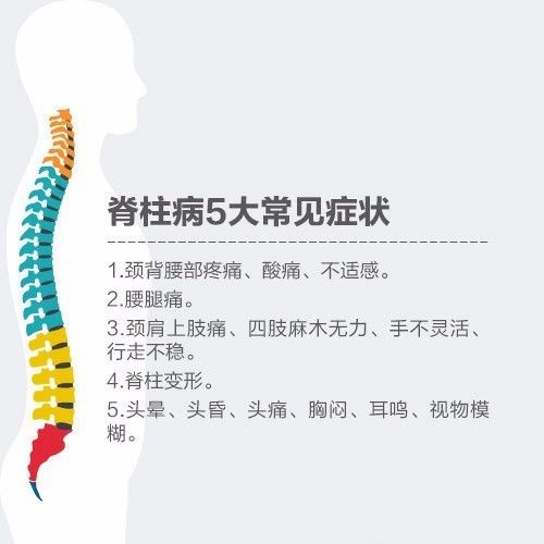 脊椎养护完全指南，守护您的脊柱健康之路