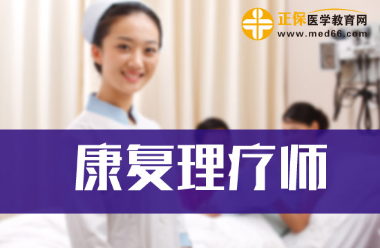 健康康复理疗师，守护健康的守护者角色解析