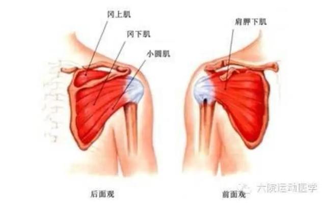 右肩痛可能是十大疾病的征兆