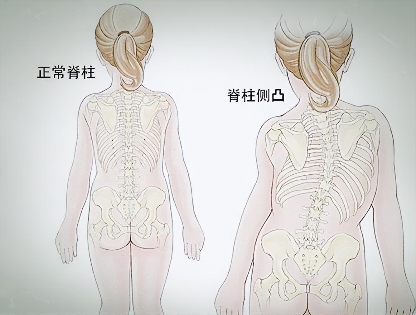 脊柱运动详解，探索脊柱的多种运动形式