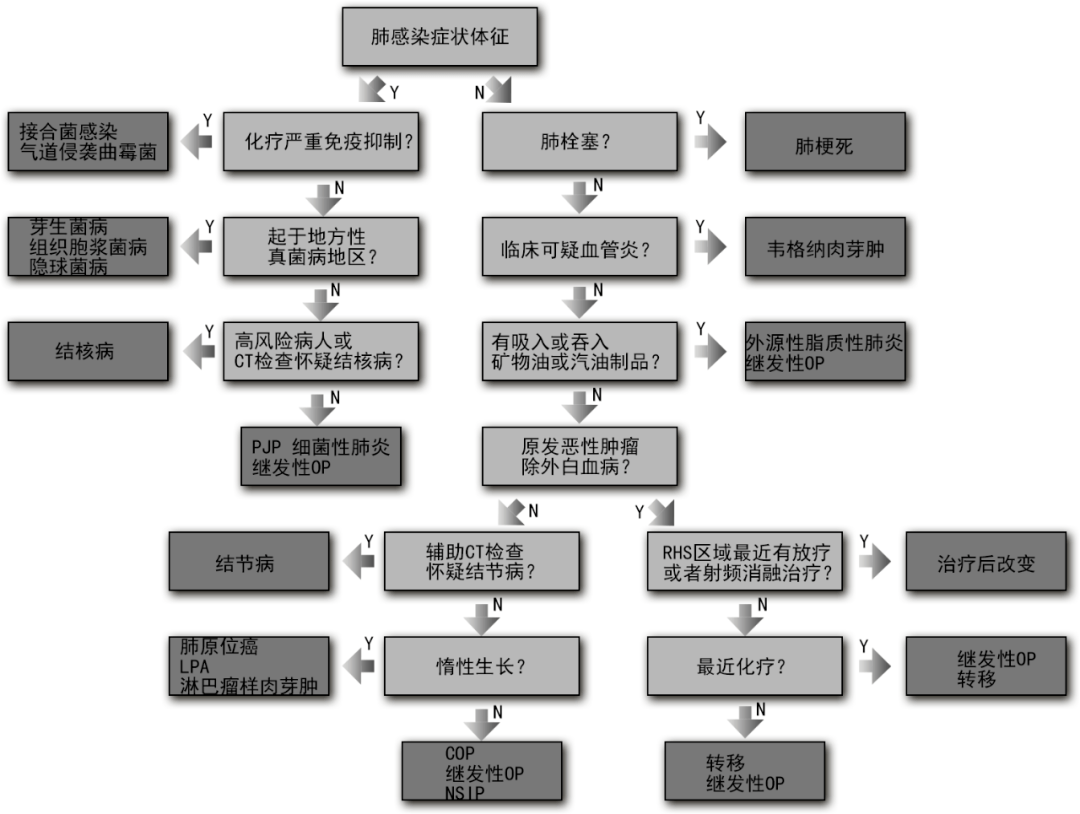 临床治疗的基本步骤详解