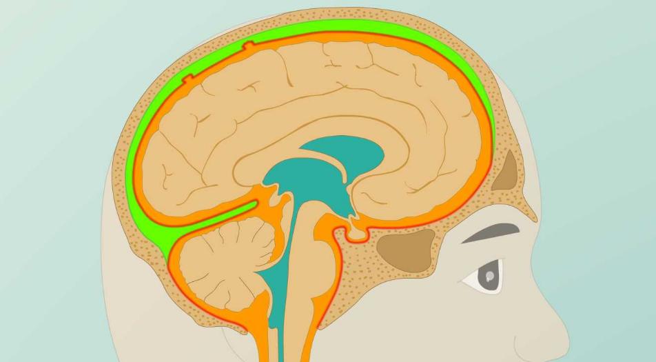 医学临床治疗，定义、过程及意义探究