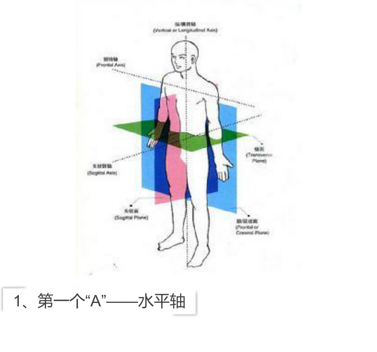 身体姿势，健康与功能状态的重要评价指标