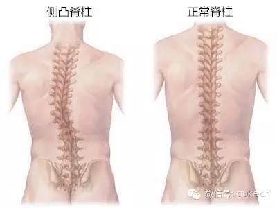 脊柱按摩疗法，奥秘与实用应用探索