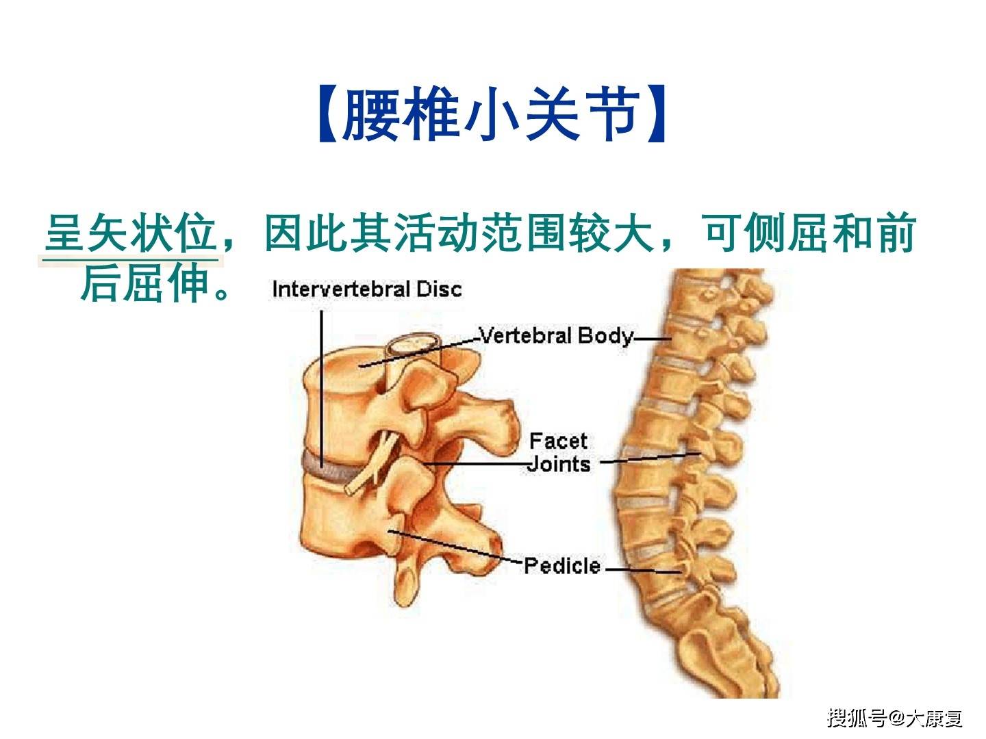 脊柱小关节紊乱治疗策略，全面理解与实践指南