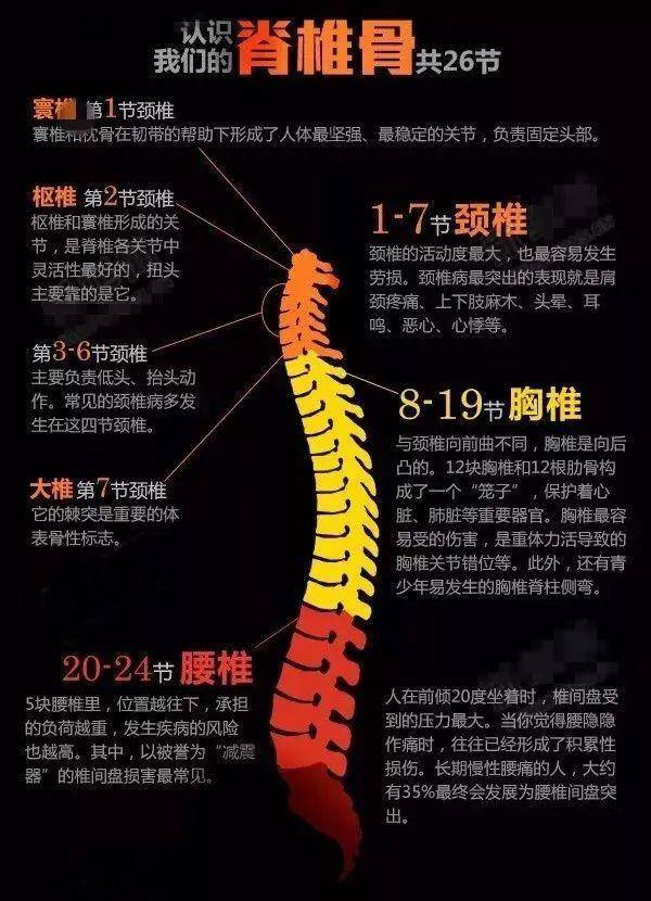 世界脊柱健康日与世界脊柱日，聚焦脊柱健康的重要性