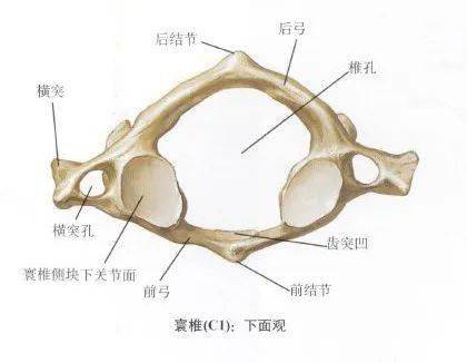 脊椎骨问题症状深度解析